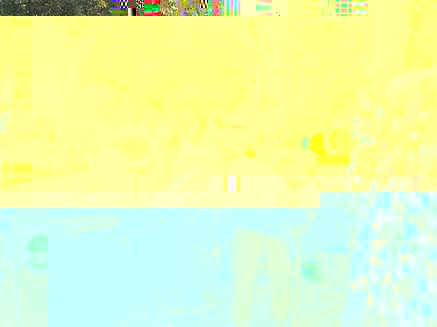 1603468841044